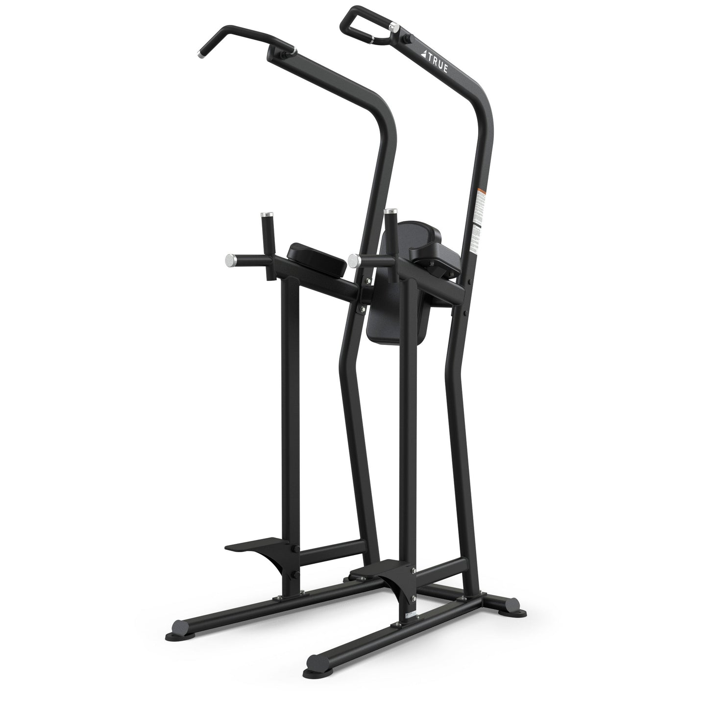 True Fitness Line FS-23 Knee Raise / Dip / Chin Station
